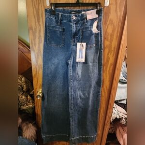 Bcbg wide leg jeans